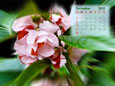 Calendar 2012 - December