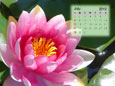 Calendar 2012 - july