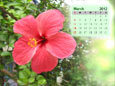 Calendar 2012 - March