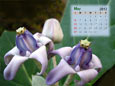 Calendar 2012 - May