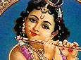 Krishna Kanhaiya  wallpaper