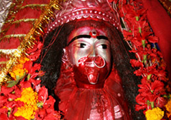 Tara Ma Idol