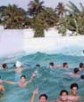 Aquatica Kolkata Website