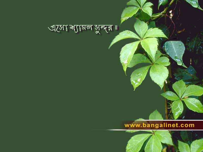 Wallpaper Bengal : Desktop Themes Bengali : Wallpaper Bengali