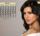 Wallpaper Calendar of Bollywood Stars