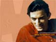 Hollywood Stars  Gregory Peck