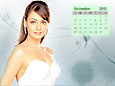 Calendar Wallpaper 2012 - November